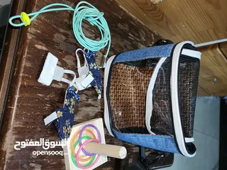  1 شنطه لحمل الطير + فوط عدد 2 للطيور+حبل لربط الطير من رجله عند اخراجه للحديقه +لعبه للعصفور