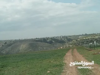  1 ارض سكنيه قرب مثلث حور فوعرا للبيع بسعر مغري