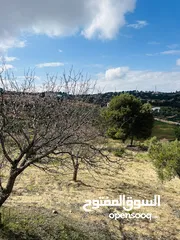  3 3500 م زي إطلالة خلابه