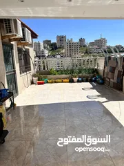  1 روفف فخر للبيعفي بتونيا