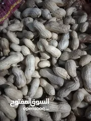  2 سوداني العيد مفروز  وباقل سعر