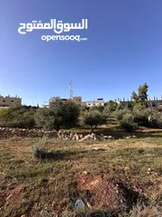  3 ارض للبيععع  من المالك مباشرة رقم التواصل بالوصف