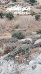  2 بيع ارض 1000 متر في الصرة مدينة دورا