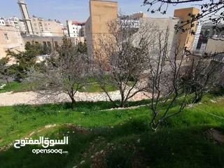  1 ارض للبيع في ضاحيه الياسمين خلف مسجد نابلس