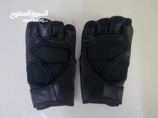  2 Everlast MMA Gloves