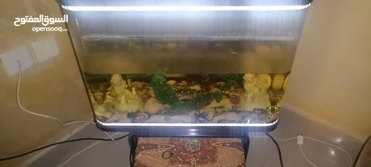  4 كنب وحوض سمك