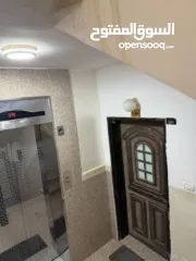  7 شقة مفروشة / الماصيون