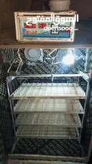  4 فقاسه فل اتوماتيك للبيع 352بيضه