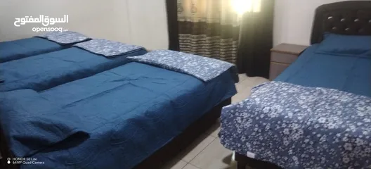  23 شقق و غرف مفروشة