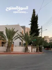  7 بيت في مرج الحمام بسعر مغري عباره عن عماره خاصه 3 طوابق