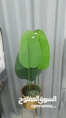  5 سجاد وموكيت