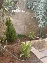  2 شقة ارضية للبيع