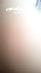  1 hvcvv jfhfdfdddh