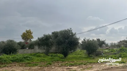  5 يوجد منزل مستقل في رمانة - منطقة العكد  مع ساحة وجدران ولها مدخلين ومع دونم ارض  مساحة المنزل 220م