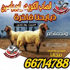  1 قصاب تحت الطلب