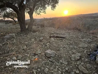  1 ارض لقطه لبناء فيله اطلاله غربيه