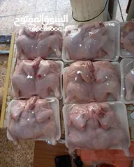  4 لبيع الدجاج الحي مستعدون تجهيزات المطاعم المناسبات الذبح و التنضيف مجاني كيلوين  