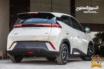 19 byd Seagull 2024 مستعمل
