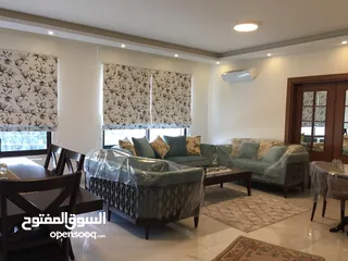  1 Furnished Apartment to Rent  ( Property 41406 ) - 174161133