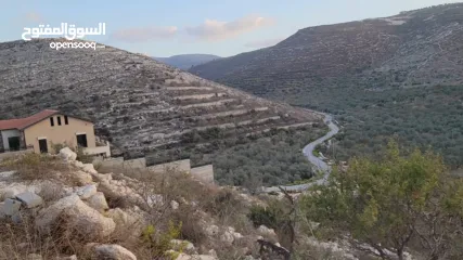  1 متوفر نمر اراضي في عصيرة الشمالية بموقع مميز بجانب مشروع حي الجبل للبيع على الكاش او بالتقسيط