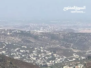  5 نمرة أرض مساحة 500 متر في مشروع أبو صالحة ، بزاريا / كوشان طابو مفروز تصنيف A