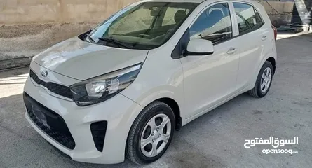  1 سيارة للايجار كيا بيكانتو بافضل سعر