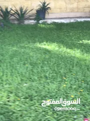  22 بو عثمان النوبي للمقاولات الزراعيه انشاء و تنسيق حدائق و صيانة النخيل  بعقود سنوية