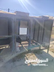  6 قفص حديد تفصيل