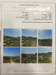  1 ارض 4 دنم الرمان محاذية لسور جامعة فيلادلفيا منطقة شاليهات ذات إطلالة رائعة  تصلح لمشروع سياحي
