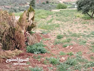  7 2300 م السلط المغاريب قطعة ملوكية تصلح ل فيلا او مزرعة اطلالة ع الغرب و جبال فلسطين