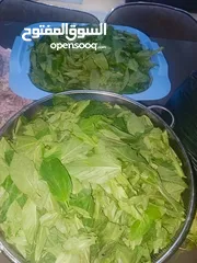  4 ملوخيه وورق عنب وفول وفاصوليا وسبانخ وخضار فروزن