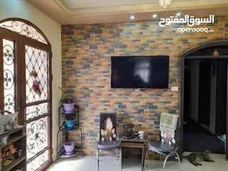  13 مزرعة مع بيت للبيع