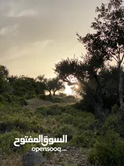  2 قطعة ارض للبيع بسعر جدا مغري تصنيف A