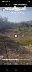  1 قطعه ارض مسطحه 550 على شارع فرعي