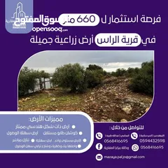  1 أرض استثمارية مميزة في قرية الراس / طولكرم - فلسطين 660متر