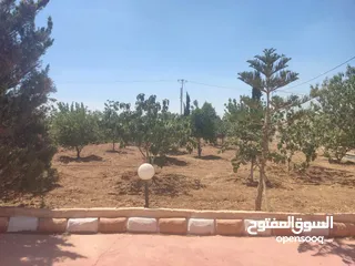  8 مادبا حواره مزرعه للبيع