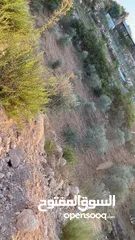  5 ارض في قربه النبي الياس