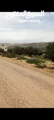  1 ارض للبيع في منطقه الطيره  بطن الهو  للبيناء اسكان مساحه دونم
