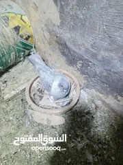  17 حمام زق شي فاخر من الاخر جواز كل جوز بسعره وفي فراخ  جواز مكفوله