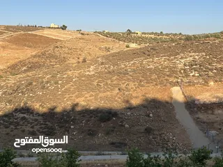  3 أرض زراعية للبيع في سيحان / البلقاء 5 دونمات و 300 متر.
