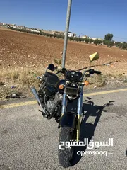  6 هارلي الجمل للبيع