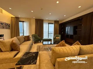  27 شقة مفروشة فاخرة سوبر ديلوكس اعلان رقم (A79)