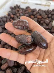  1 سح فرض للبيع