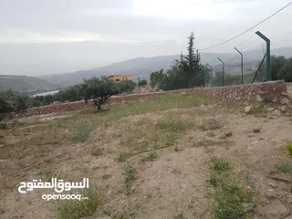 21 أرض ذات إطلالة خلابة في أجمل مناطق جرش