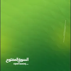  15 مكافحة الحشرات والقوارض والصراصير وبق الفراش والفئران والبريعصى والنمل