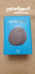  1 Alexa Echo Pop