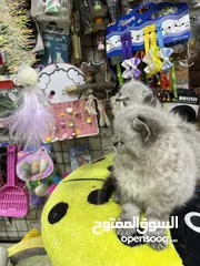  15 هملايا لينكس بيور لعب تابع الوصف بعناية مهم متابعة الوصف عروض حقيقية بمناسبة العرض