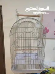  1 قفص ببغاء ايطالي جديد