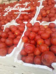  1 لا تفوت عرض خاص دبس بندورة و فليلة و رمان