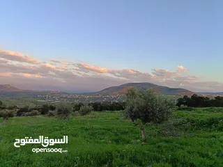  8 مشروع سلحب الاول